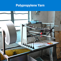 100% PP Multifilament Yarn 200D-2000D (900D) High Tenacity Dyed/Raw Multi Color for Straps Webbing Ropes