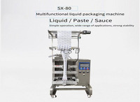 Machine d'emballage verticale quantitative pour la remplissage et l'emballage de pochettes de glace biologiques