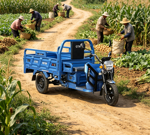 Triciclo Eléctrico de Carga, Tipo King, Volquete, Agrícola, Fabricantes Transfronterizos, Carrocería Abierta, Batería de 12V - Product Image 2
