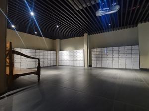 رفوف قفل إلكترونية ومفتاح ، خزانات للفندق والصالة الرياضية ، خلع عدوي الهيكل ، حذاء - Product Image 4