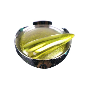 Bột Phủ Móng Nhũ Chrome 21 Màu, Bột Nhũ Bạc Vàng Hồng Vàng Hiệu Ứng Gương Trang Trí Móng - Product Image 4