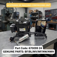 Pièces d'origine pour machine à glaçons Scotsman, série BL MF MV NW NWH, compresseur, conception sans givre, réfrigérant CO, modèle 67009924