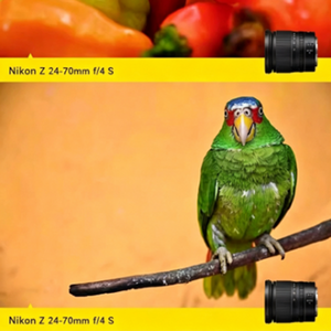Lente de Cámara sin Espejo de Fotograma Completo de 24-70 mm <span class=keywords><strong>F4</strong></span>, Lente con Zoom de Apertura Constante para <span class=keywords><strong>Nikon</strong></span> Serie Z Z6 Z7 Z5 Z30 - Product Image 5