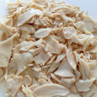 Champignons de la mer en conserve dans une saumure aqueuse, champignons de la mer conservés, vente en gros, marque OEM