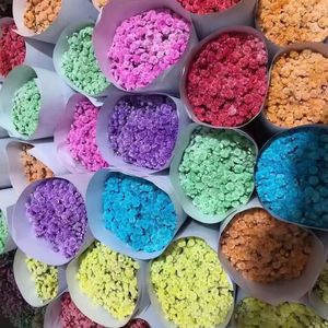 Bouquet di Fiori Secchi di Gypsophila, Piante Naturali Conservate per Matrimoni, Feste, Decorazioni Fai-da-Te in Stile Boho per la Casa - Product Image 6