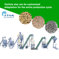 Ligne de production de granulés d'aliments pour animaux entièrement automatisée, capacité de 2 tonnes/h, matériaux en alliage, pour volailles, bovins, ovins, poulets, canards