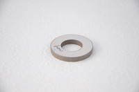 Cincin Piezo Keramik PZT8 |   Aksesori Sensor Ultrasonik untuk Mesin Pengelasan Ultrasonik
