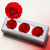 Roses rouges préservées, têtes de fleurs de 7-8 cm, rose éternelle, cadeau de la Saint-Valentin pour petite amie, décoration de la maison, vente en gros