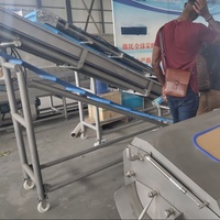 Machine à poinçonner les fruits et légumes, avec maille, appareil de séchage électrique