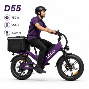 Bicicleta Eléctrica de Carga D55, 48V55Ah, Mejorada para Todo Terreno, 750W, Neumático Grueso de 20 Pulgadas, 28 mph, Bicicleta Eléctrica de Reparto - Product Image 1