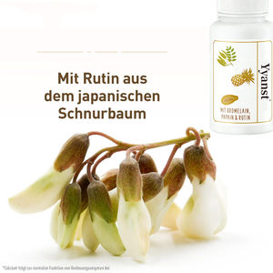 Cápsulas de Bromelina y Papaína de Alta Calidad para la Salud Intestinal y Promoción Digestiva - Product Image 6