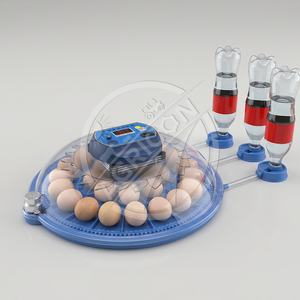 ตู้ฟักไข่พลาสติกขนาดเล็ก ความจุ 48-96 ฟอง พร้อ<span class=keywords><strong>ม</strong></span>ระบบควบคุมอุณหภู<span class=keywords><strong>ม</strong></span>ิและความชื้นอัจฉริยะ ระบบพลิกไข่อัตโน<span class=keywords><strong>ม</strong></span>ัติ สำหรับไก่ เป็ด นกกระทา - Product Image 5