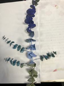 400毫升Aeropak花朵喷雾保持花朵颜色更加充满活力 - Product Image 5