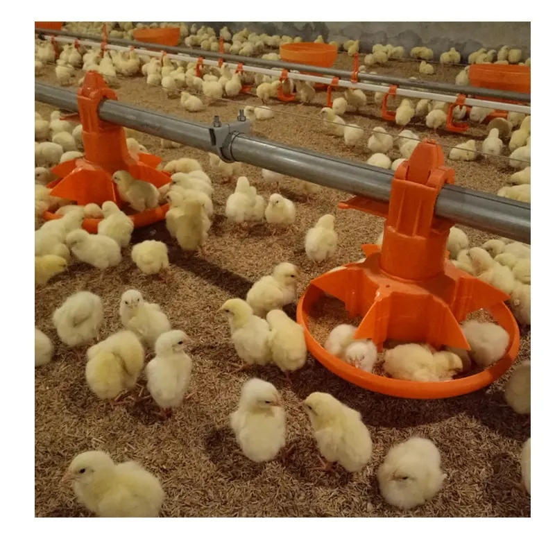 Poulet ferme mangeoires maison de poulets de chair automatique Pan système de ligne d'alimentation mangeoire Animal volaille équipement d'élevage en plastique