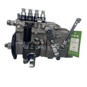 ปั๊มหัวฉีดน้ำมันดีเซล 4PL118 4PL121 สำหรับยูนเน่ย 4100QB เซ็กเซล 107492-2164 ปั๊มหัวฉีดน้ำมันดีเซล คาวาซากิ 49040-7008 ปั๊มน้ำมันเชื้อเพลิง - Product Image 3