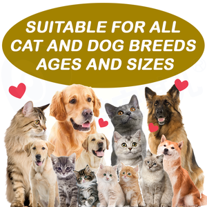 निजी लेबल कस्टम विरोधी खुजली पालतू शैम्पू और कंडीशनर Soothees त्वचा Issuse स्वस्थ कोट कुत्तों के लिए शैम्पू - Product Image 3