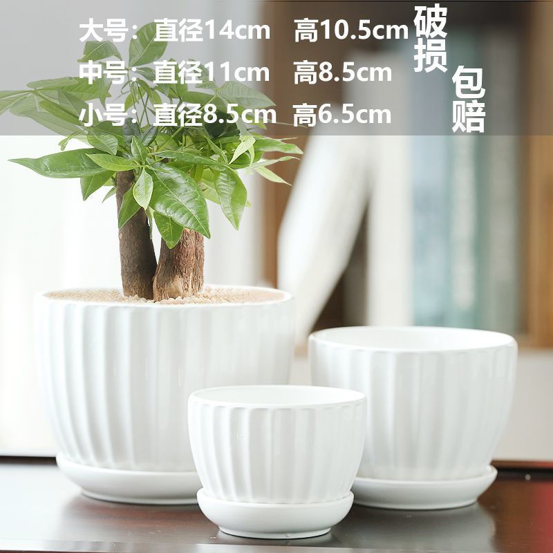 Liquidation - Ensemble 3 pièces Yangchun Baixue