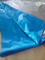 Bâche en polyéthylène enduite de PE bleu argenté imperméable, bâche PE bleue pour jardin, auvent extérieur, abri de camion, maison