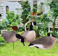 Meilleure vente Durabilité robuste Fins de chasse Corps de mangeoire réalistes Posture personnalisable Leurres de chasse à l'oie flottante