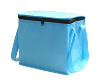 Sacs de livraison de repas chauds et froids de haute qualité, grand volume, portables, imperméables, en aluminium isolé, 30L, CENPLAS