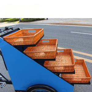 Triciclo de Acero para Venta Ambulante de Frutas |   Caja de Cambios T03 de 6 Velocidades con Batería de Litio Segura para Vendedor Ambulante, Suave y Eficiente - Product Image 5
