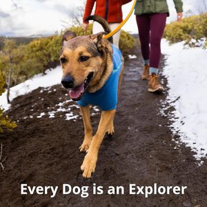 Laisse pour chien de luxe corde solide confortable et résistante réfléchissante pour grande laisse de chien élastique moyenne pour la course à pied ou la randonnée - Product Image 4
