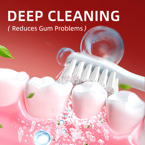 פרוביוטיקה צמחים SP6-1 פרוביוטיקה בהרת משחת שיניים לבנה עם טעם מנטה מגניב לניקוי בסיסי של ריח רע מהפה אצל מבוגרים - Product Image 4