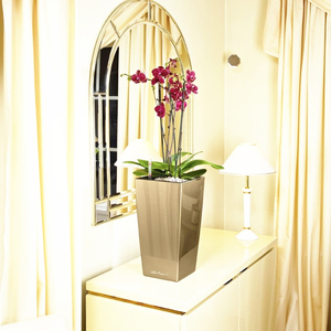 New Fashion Climbing <strong>Plants</strong> Grape Vegetables Trellis DIY Stick Trellis <strong>Metal</strong> Garden <strong>Plant</strong> <strong>Support</strong> - Product Image 3