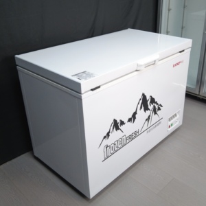 VICTORY high quality <b>chest</b> <b>freezer</b> showcase refrigerator modern Catering Equipment for other Hotel & Restaurant supplies - Product Image 3