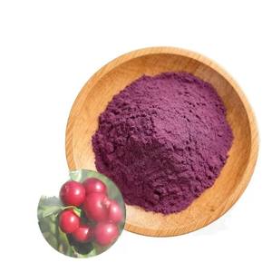 龍勝植物エキス　ビルベリーエキス　10%～25%アントシアニジン（UV-VIS）抗酸化ビルベリーエキス粉末 - Product Image 1