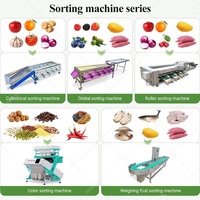 Sorteermachine voor kokosnoot, citrusvruchten, papaja, citroen, abrikoos, granaatappel, fruitgewichtsselectie, sinaasappelrollergrader, te koop voor kiwi.