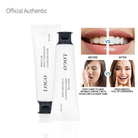 Sachet de dentifrice au charbon de bambou naturel de haute qualité 2026, saveur menthe fraîche, nettoyage en profondeur, blanchissant, sans fluor, haleine fraîche