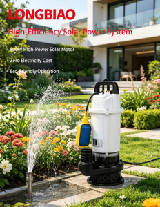 <span class=keywords><strong>Pompe</strong></span> solaire flottante JQDX 800W avec interrupteur flottant, <span class=keywords><strong>pompe</strong></span> à eau solaire submersible à haut débit pour étang, <span class=keywords><strong>piscine</strong></span>, jardin, irrigation - Product Image 3