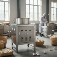 Machine à éplucher l'ail de grande capacité à haute efficacité pour usage commercial et domestique