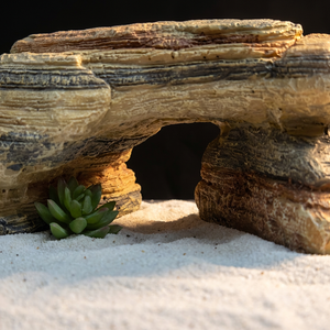 Plataforma para reptiles con <span class=keywords><strong>cueva</strong></span> oculta, <span class=keywords><strong>puente</strong></span> de resina con aspecto de roca, decoración para terrario, hábitat realista de piedra para tortugas, lagartos y geckos - Product Image 2