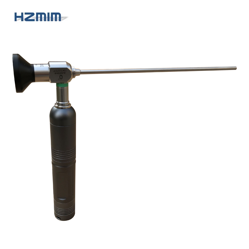 portable endoscopic zooming camera system