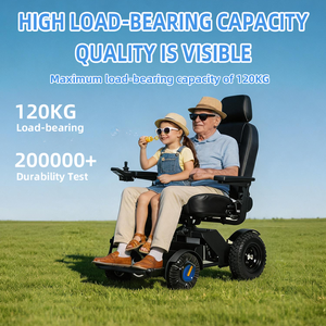 <span class=keywords><strong>Silla</strong></span> <span class=keywords><strong>de</strong></span> <span class=keywords><strong>Ruedas</strong></span> Eléctrica Comercial <span class=keywords><strong>de</strong></span> Alta Resistencia, Capacidad <span class=keywords><strong>de</strong></span> 130 kg, Batería <span class=keywords><strong>de</strong></span> Litio, Plegable Delantera y Trasera, Bajo Mantenimiento, para <span class=keywords><strong>Alquiler</strong></span> en Hospitales - Product Image 3