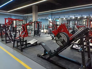 Equipo de gimnasio, máquina de remo de doble pista, placa de fuerza, Fitness cargado - Product Image 4