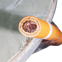 Cable de Silicona Naranja Flexible de Alta Tensión Blindado para Vehículos Eléctricos, Calibre 1/0 2/0 AWG, Fabricante