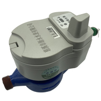 Non-Magnétique Sans Fil Impulsion À Distance Froide Compteur D'eau Compteur D'eau Intelligent Lora/Lorawan/Pulse/Gsm/Nb-Iot Sts Compteur D'eau