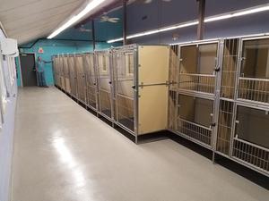 Aeolus คอกสุนัขสุนัขแบบกำหนดขนาดเองได้ - Product Image 5