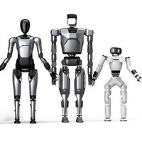 Robot Humanoide Inteligente de Alta Calidad 1320*450*200 mm 35 kg
