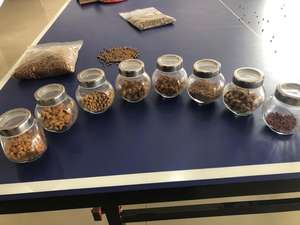 Línea de Producción de Pienso Flotante para Peces y Animales, Extrusora de Doble Tornillo, Alta Eficiencia, Precio de Fábrica, China - Product Image 6