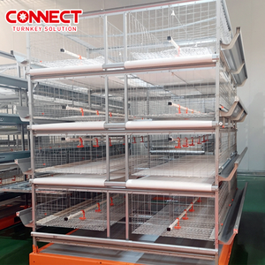 Sistema de Jaulas en Batería Tipo H para 50000 Aves de Corral, Alimentación Automática para Pollos de Engorde, Línea de Cría a Gran Escala - Product Image 1