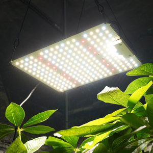ไฟปลูกพืชแบบ LED 70W สเปกตรัมเต็มรูปแบบ พร้อมระบบหรี่แสง สำหรับปลูกพืชในร่มและโครงการปลูกพืชในบ้าน - Product Image 1