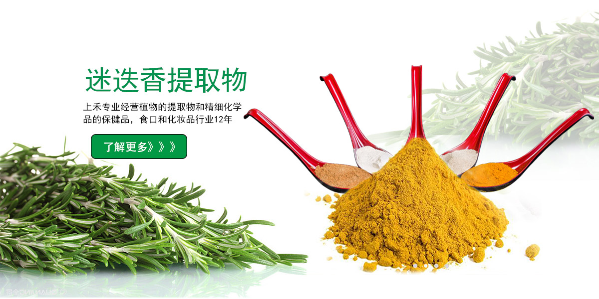 CAS:77-52-1 Rosemary Extract Ursolic acid powder