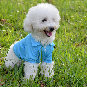 Cat Custom Wholesale Plain Blank <strong>T</strong> <strong>T</strong>-<strong>shirt</strong> Polo Pet <strong>Dog</strong> <strong>Shirt</strong> <strong>for</strong> <strong>Dogs</strong> - Product Image 5
