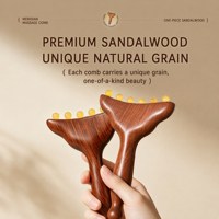 Peigne de massage en bois pour méridiens, outil Gua Sha pour le visage, le corps, le cou et le cuir chevelu, 6 perles lisses, poignée ergonomique, massage relaxant par acupression