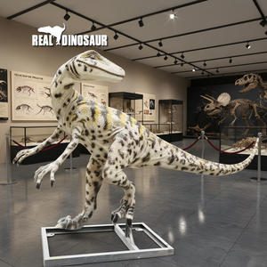 Modèle animatronique grandeur nature en fibre <span class=keywords><strong>de</strong></span> verre <span class=keywords><strong>de</strong></span> dinosaure <span class=keywords><strong>pour</strong></span> <span class=keywords><strong>la</strong></span> décoration <span class=keywords><strong>de</strong></span> parc à thème - Product Image 1