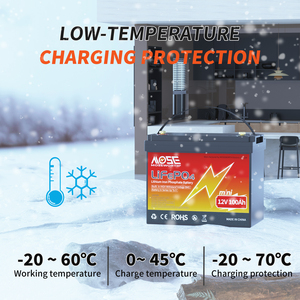 Poland Ukraine <strong>Mini</strong> <strong>12V</strong> 100Ah Lifepo4 Lithium Iron Phosphate BMS <strong>Battery</strong> Pack Deep Cycle Rechargeable for RV Golf Cart Boat